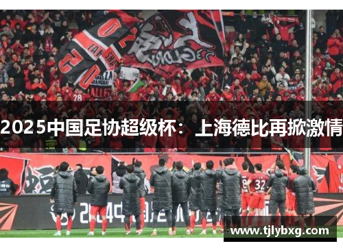 2025中国足协超级杯:上海德比再掀激情 2025中国足协超级杯:上海德比再掀激情