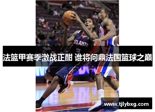 法篮甲赛季激战正酣 谁将问鼎法国篮球之巅 法篮甲赛季激战正酣 谁将问鼎法国篮球之巅