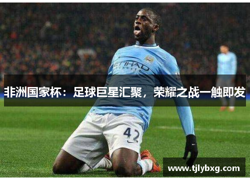 非洲国家杯:足球巨星汇聚,荣耀之战一触即发 非洲国家杯:足球巨星汇聚,荣耀之战一触即发