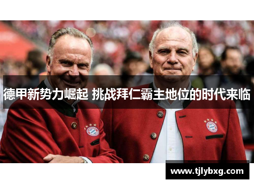 德甲新势力崛起 挑战拜仁霸主地位的时代来临 德甲新势力崛起 挑战拜仁霸主地位的时代来临